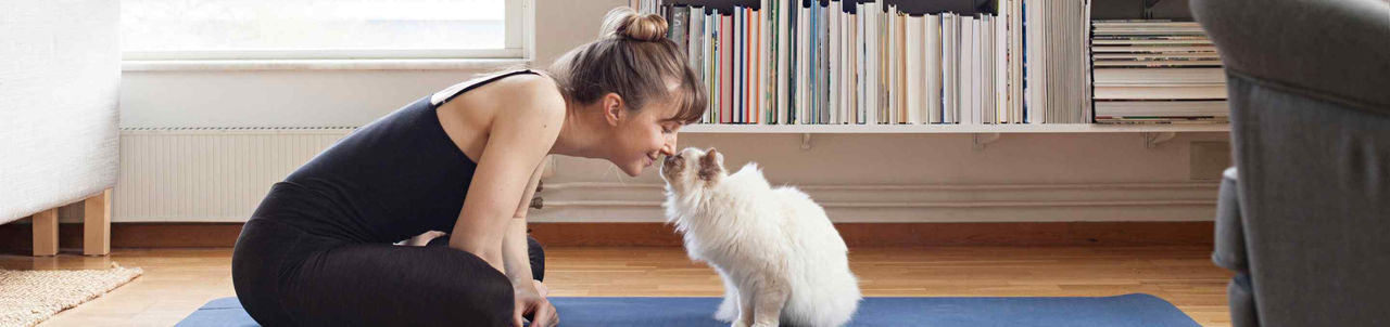 Body, mind—and animals: tips to boost mental health