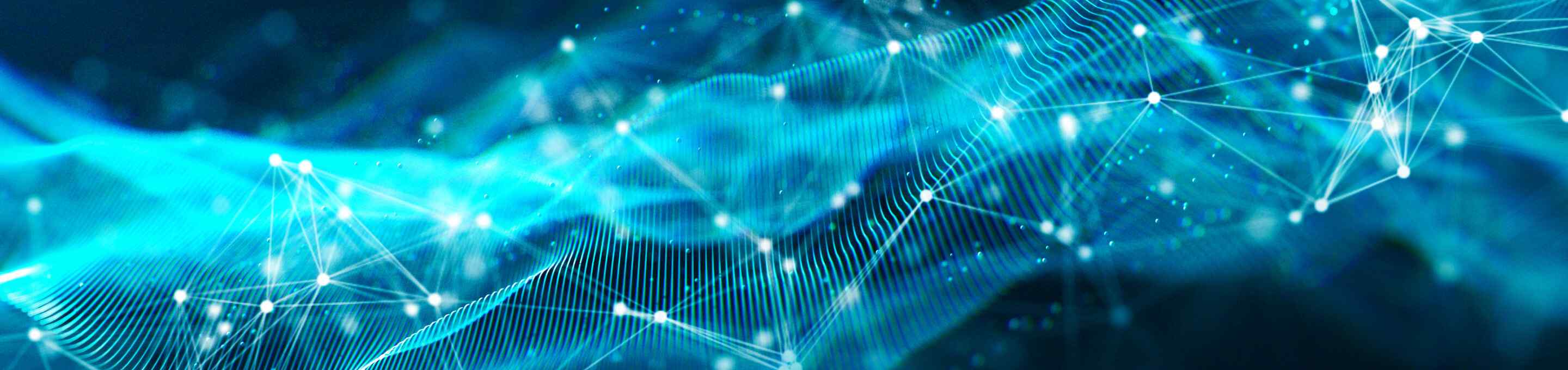 Portrayal of Capella IT data analytics student.