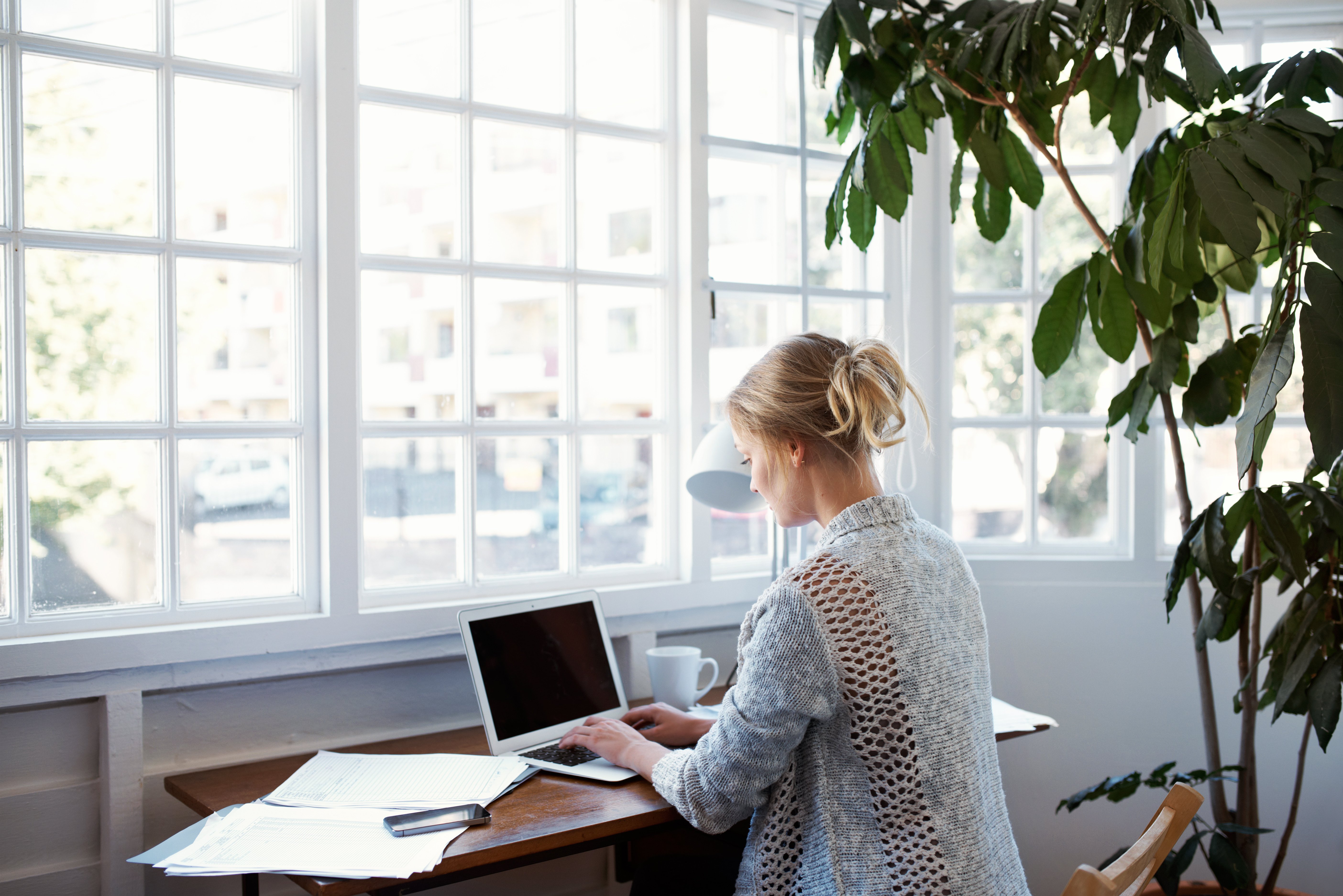 Portrayal of Capella education student.