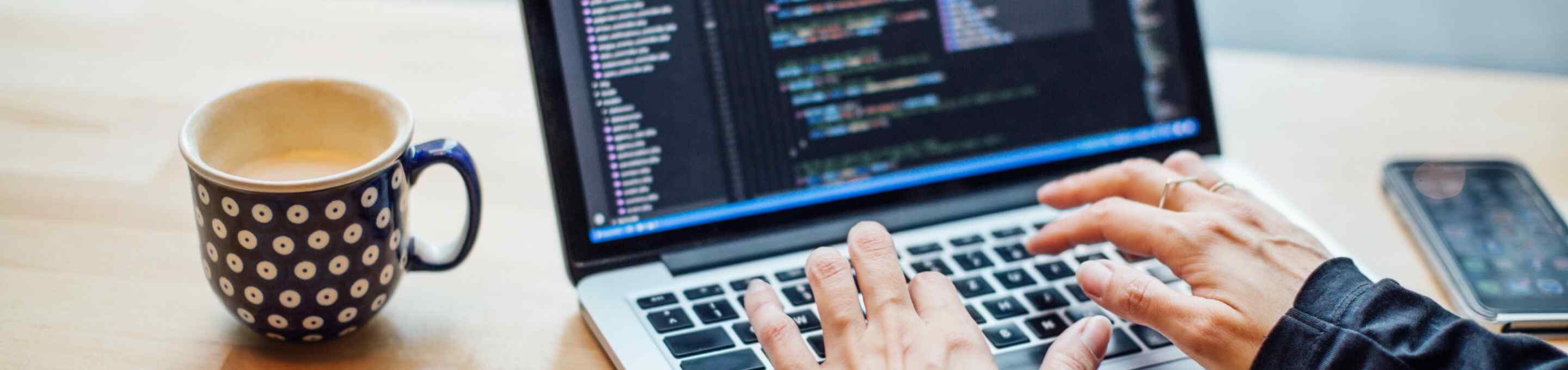 Portrayal of Capella IT data analytics student.