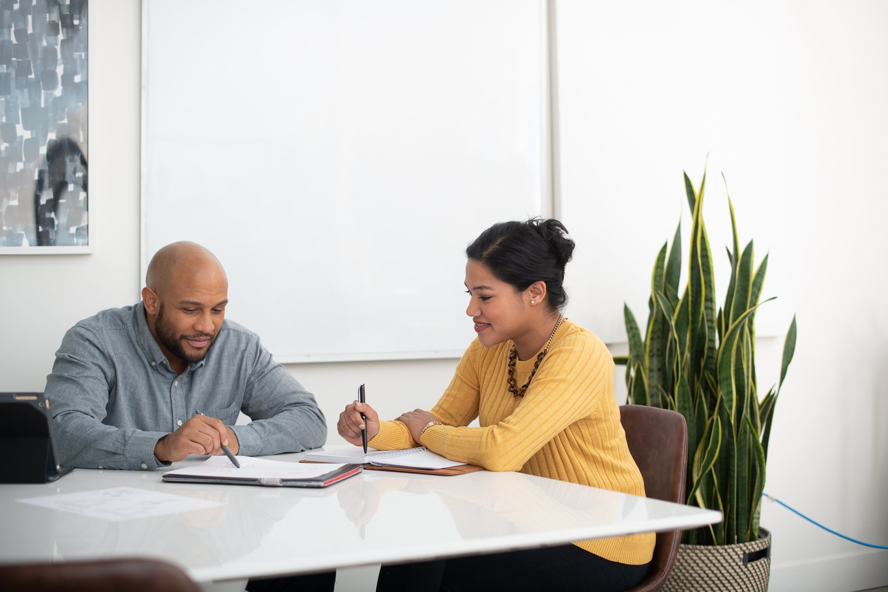 Portrayal of Capella social work student.