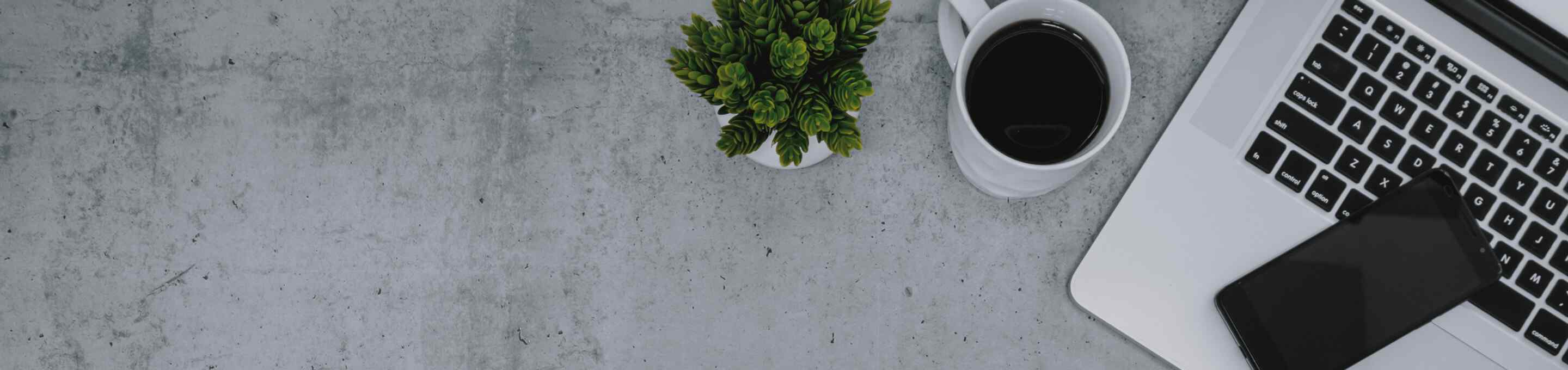 Portrayal of Capella student networking with colleagues