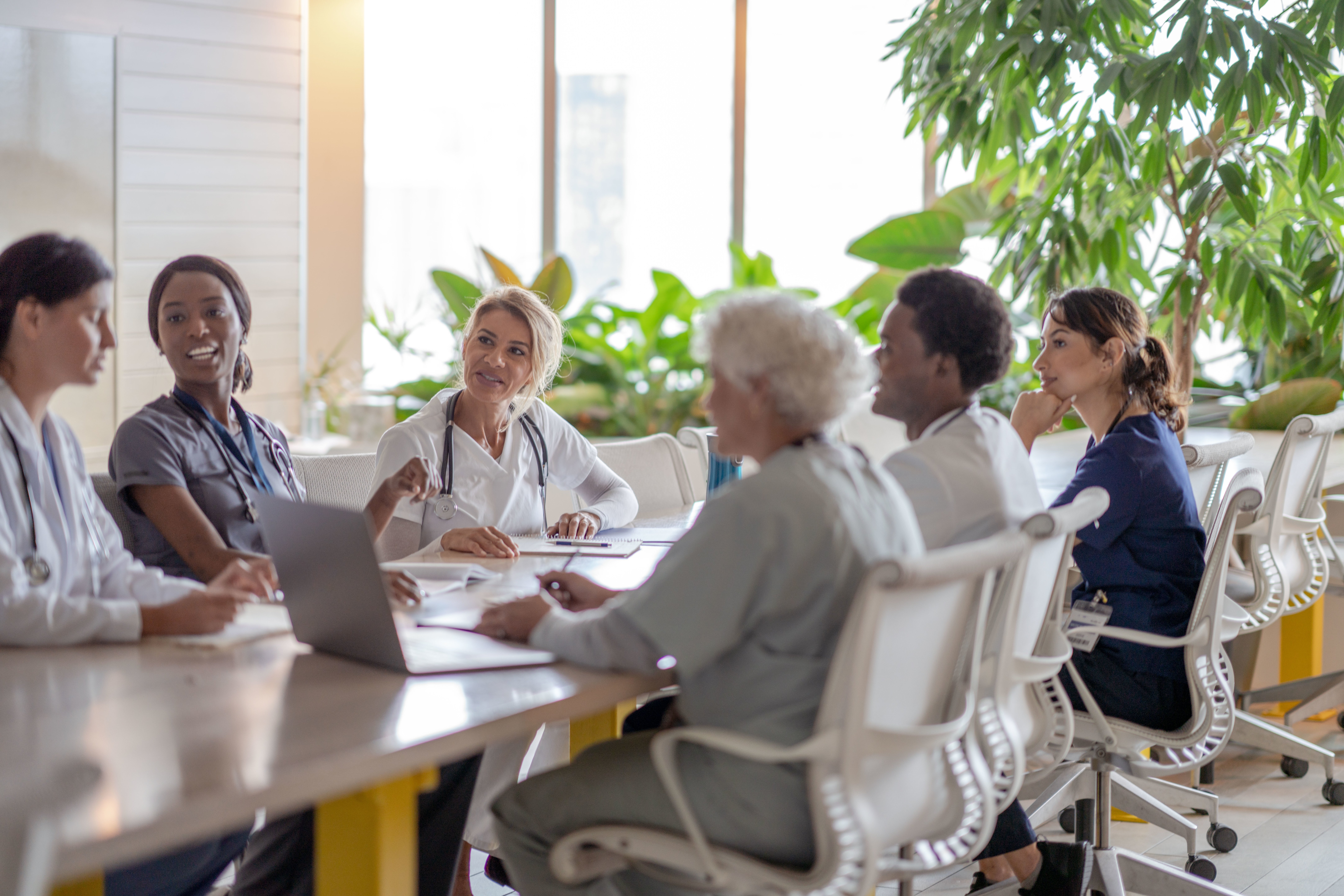 Portrayal of Capella student meeting with nurses and healthcare admin professionals