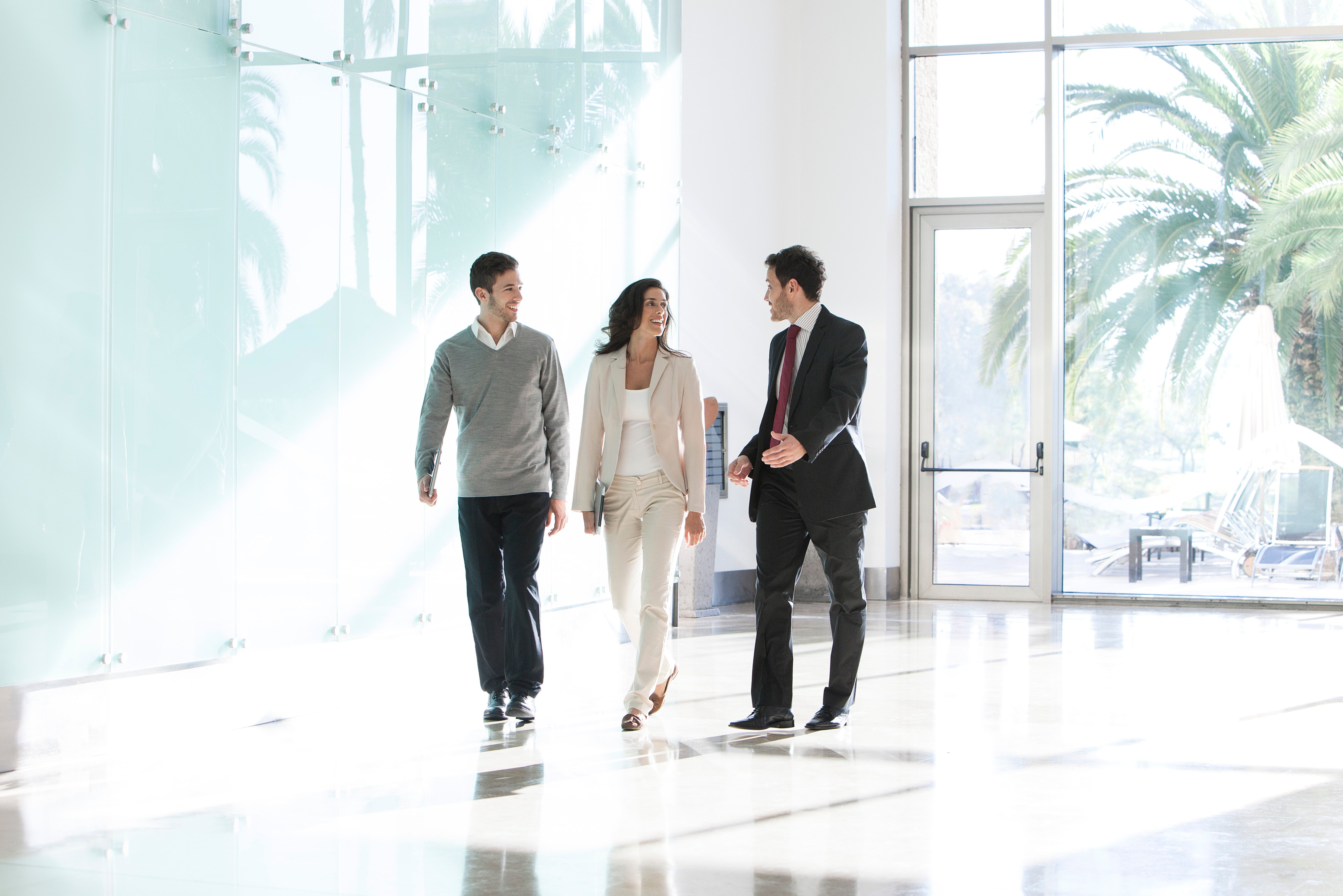 Portrayal of Capella public administration student.