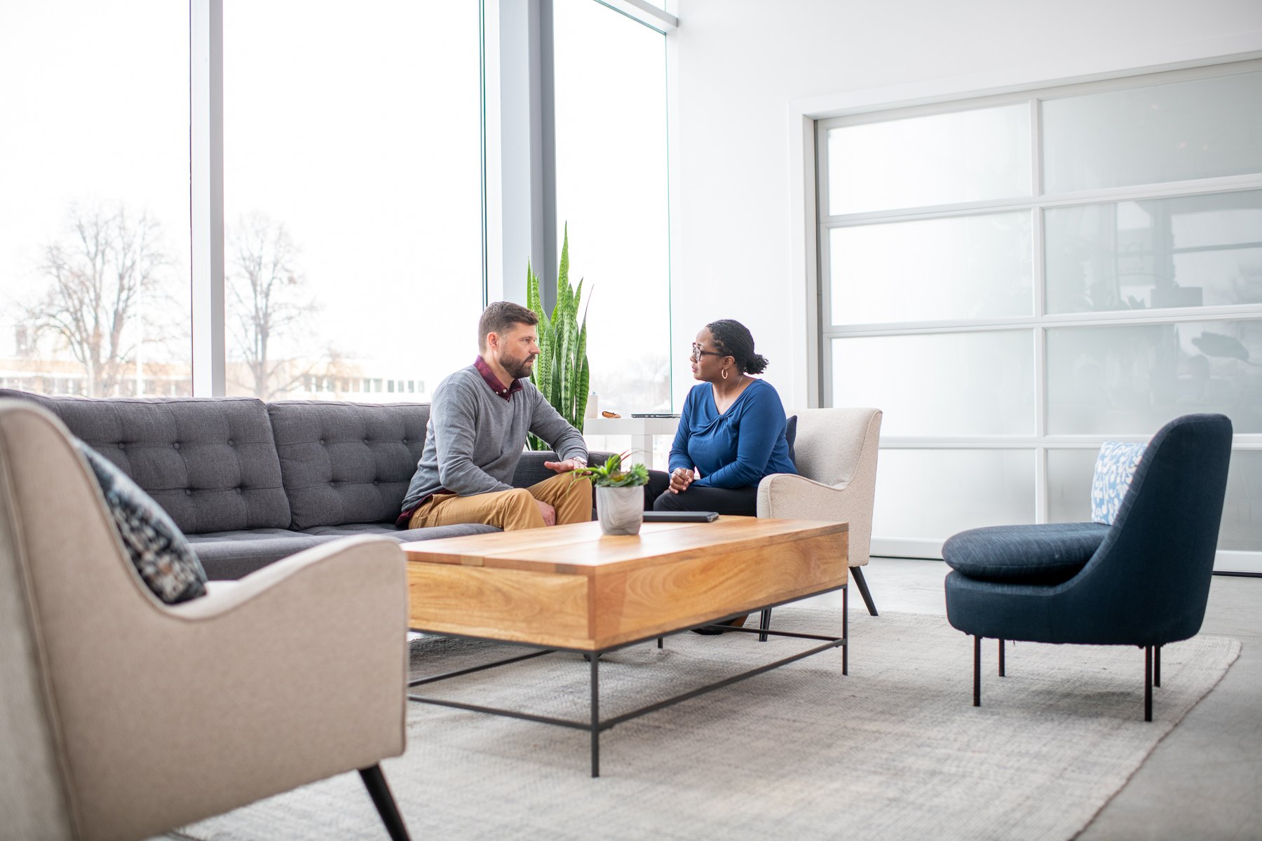 Portrayal of Capella counseling and therapy student