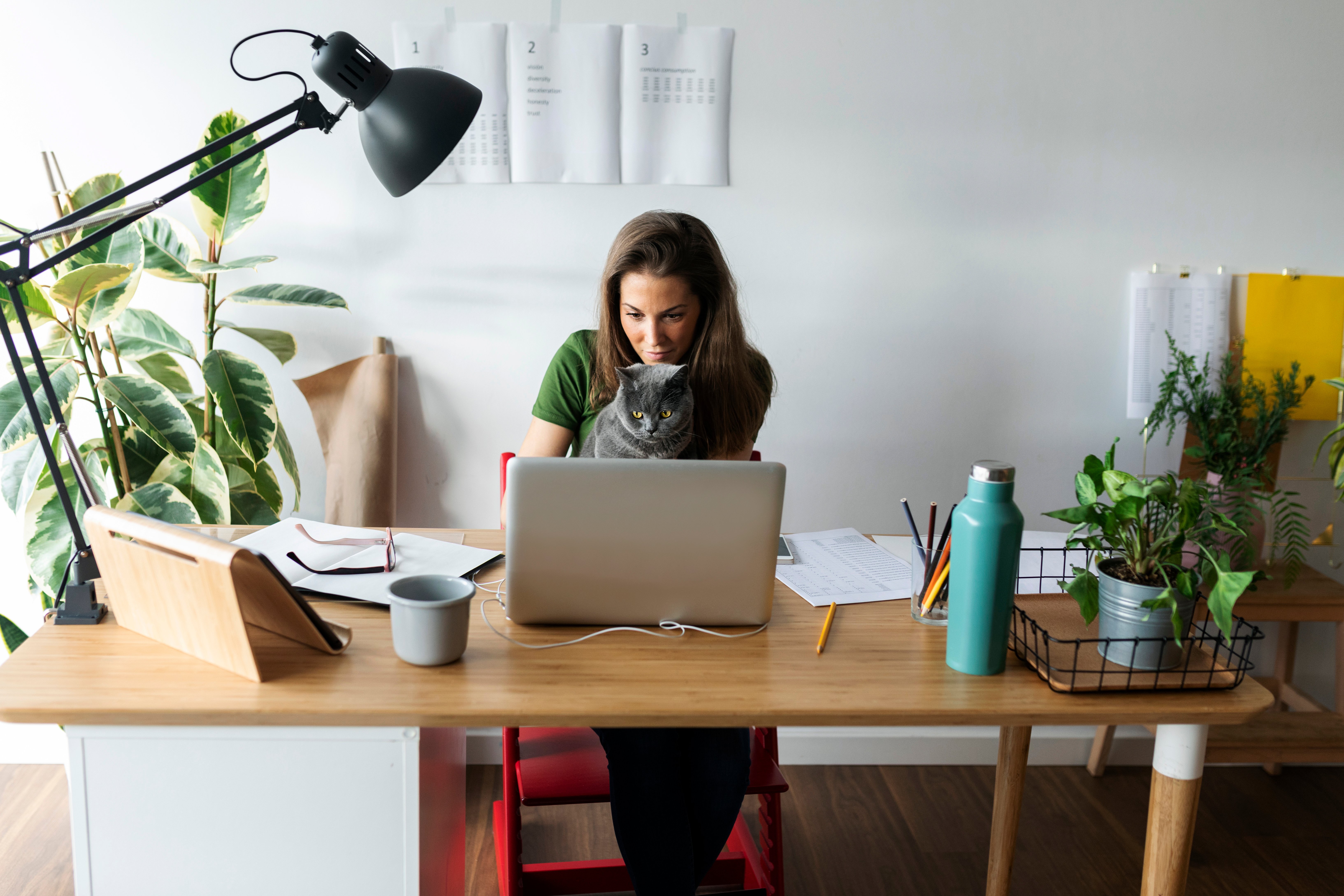 Portrayal of Capella student learning online