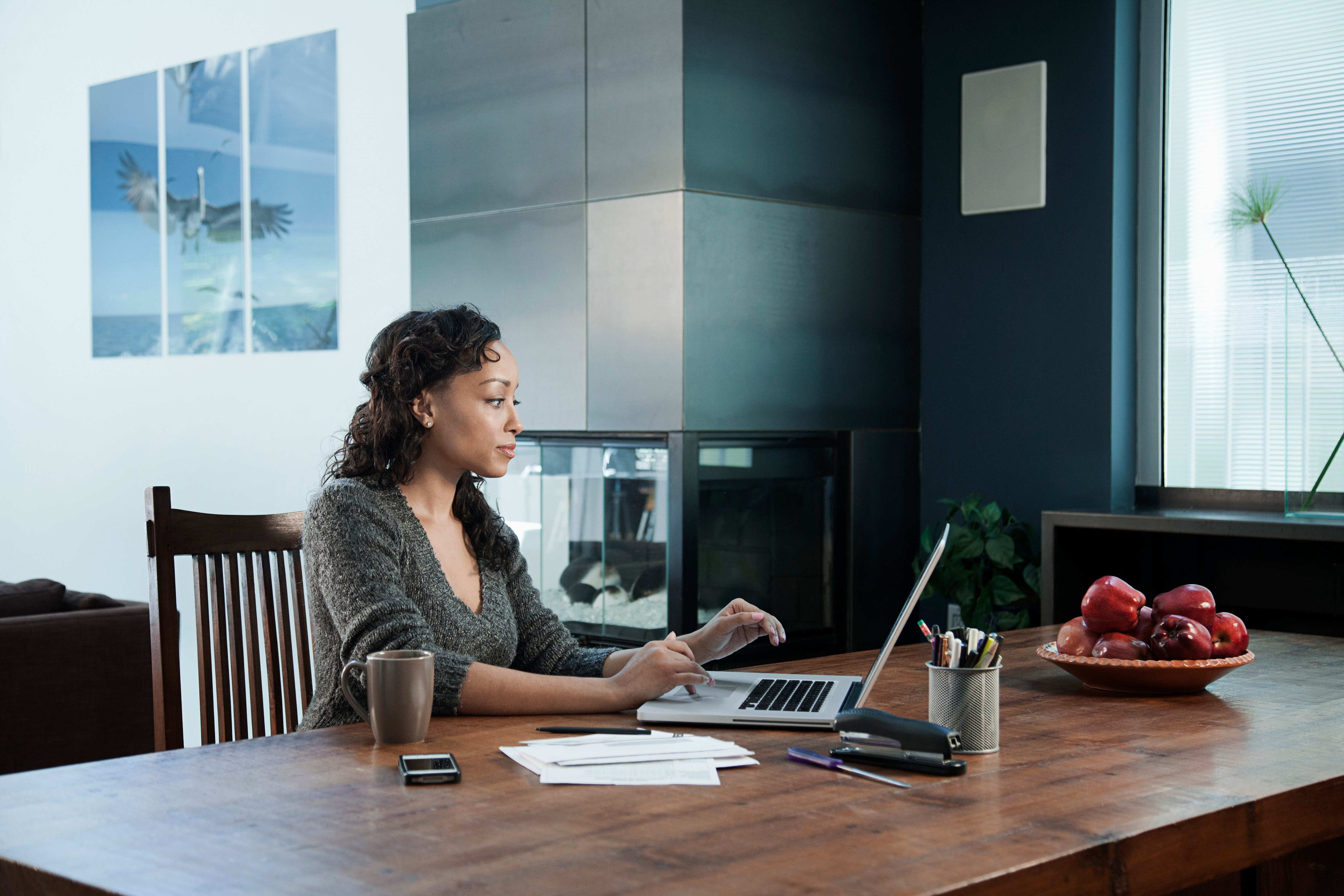 Portrayal of Capella BS in information technology student.