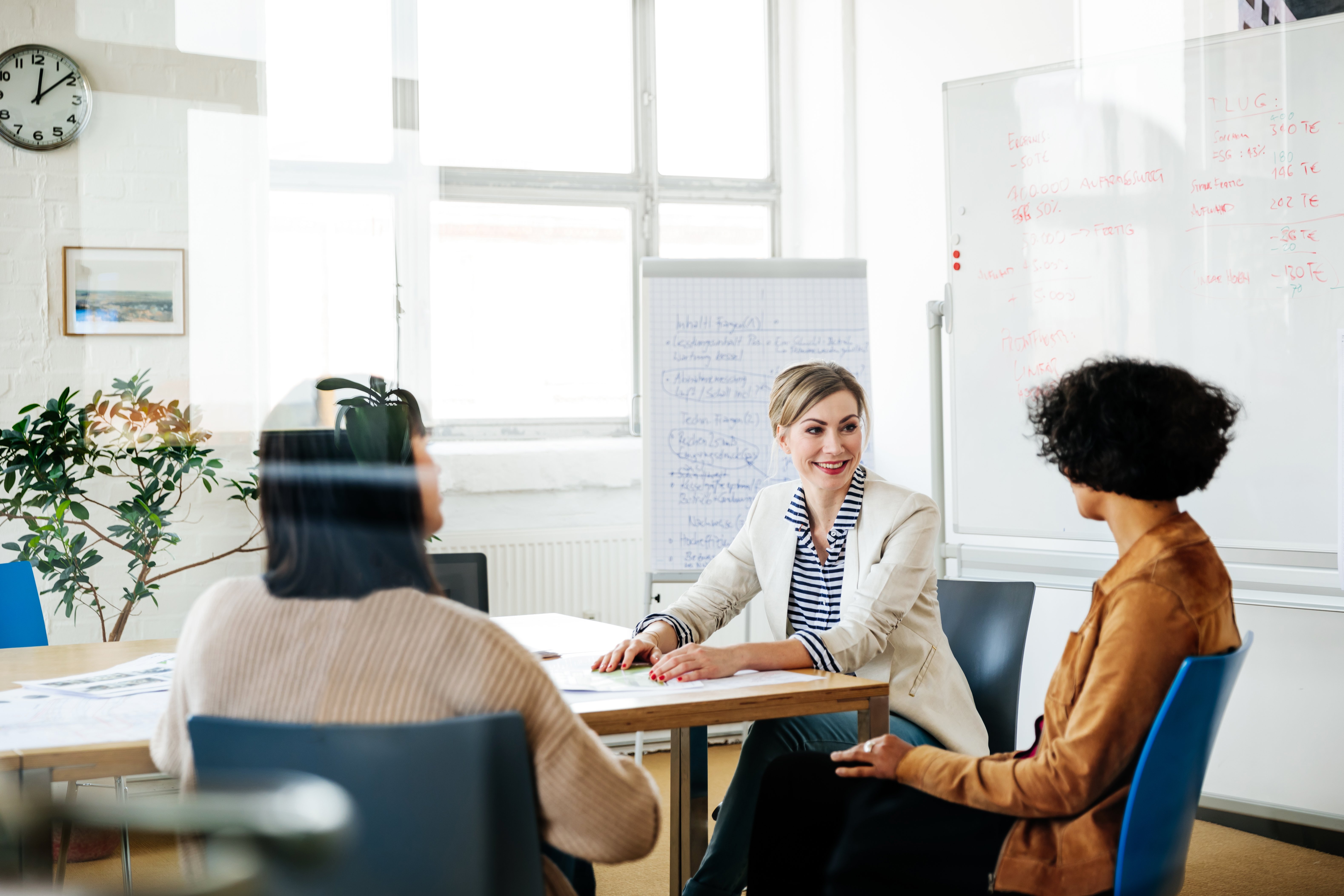 Portrayal of Capella public administration student.