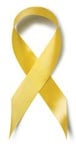 Yellow Ribbon Summit